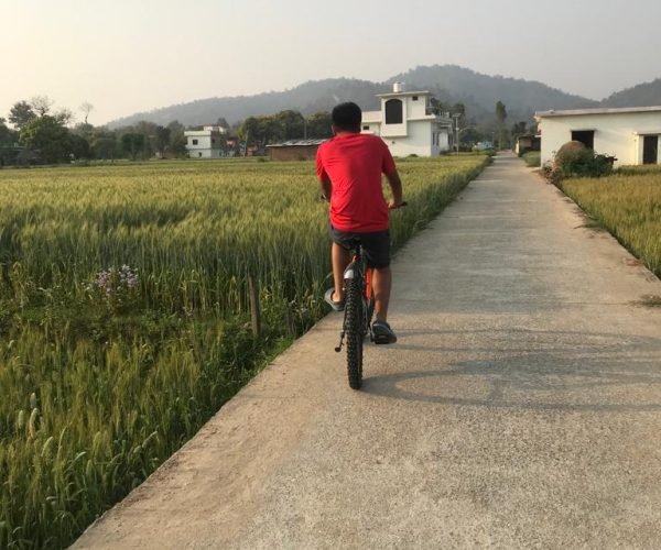 Cycling through nature near Dhela in Jim Corbett