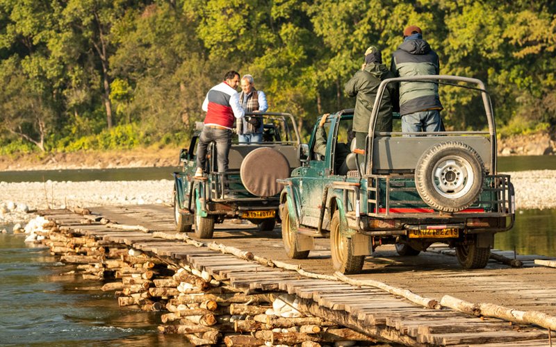 Exploring the Thrilling Dhela Jeep Safari zone in Jim Corbett National Park